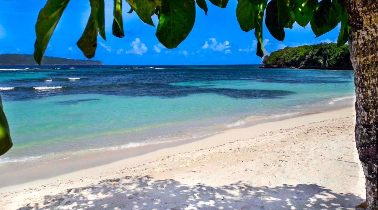 Jasmine La Playita - Ocean Front Las Galeras Exterior foto
