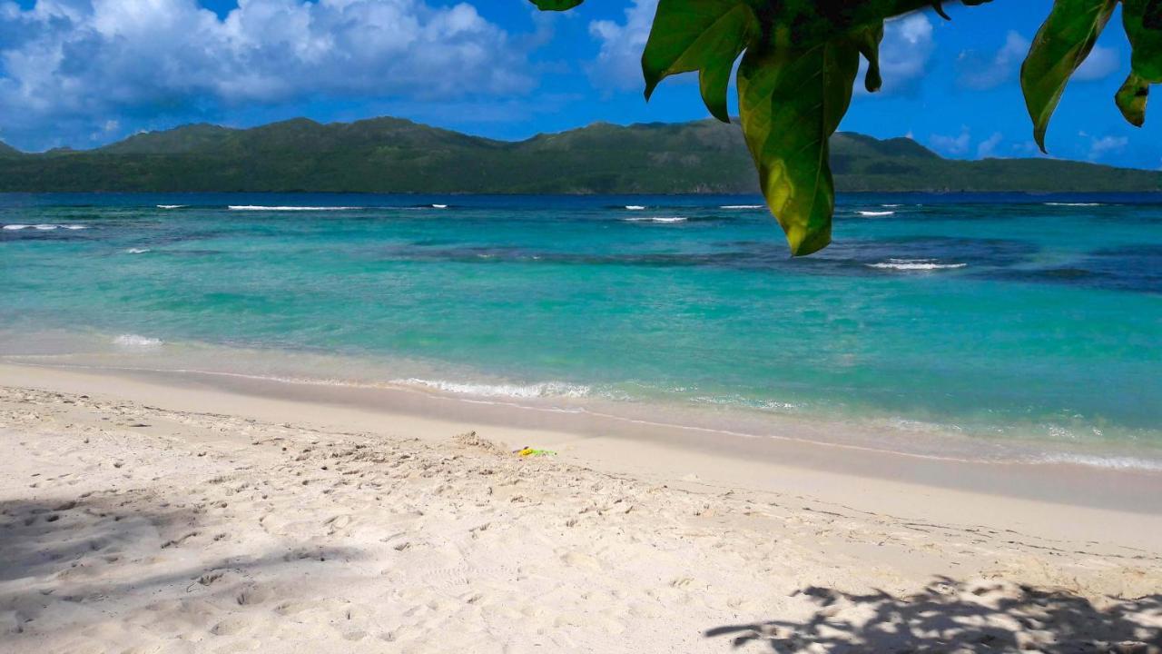 Jasmine La Playita - Ocean Front Las Galeras Exterior foto